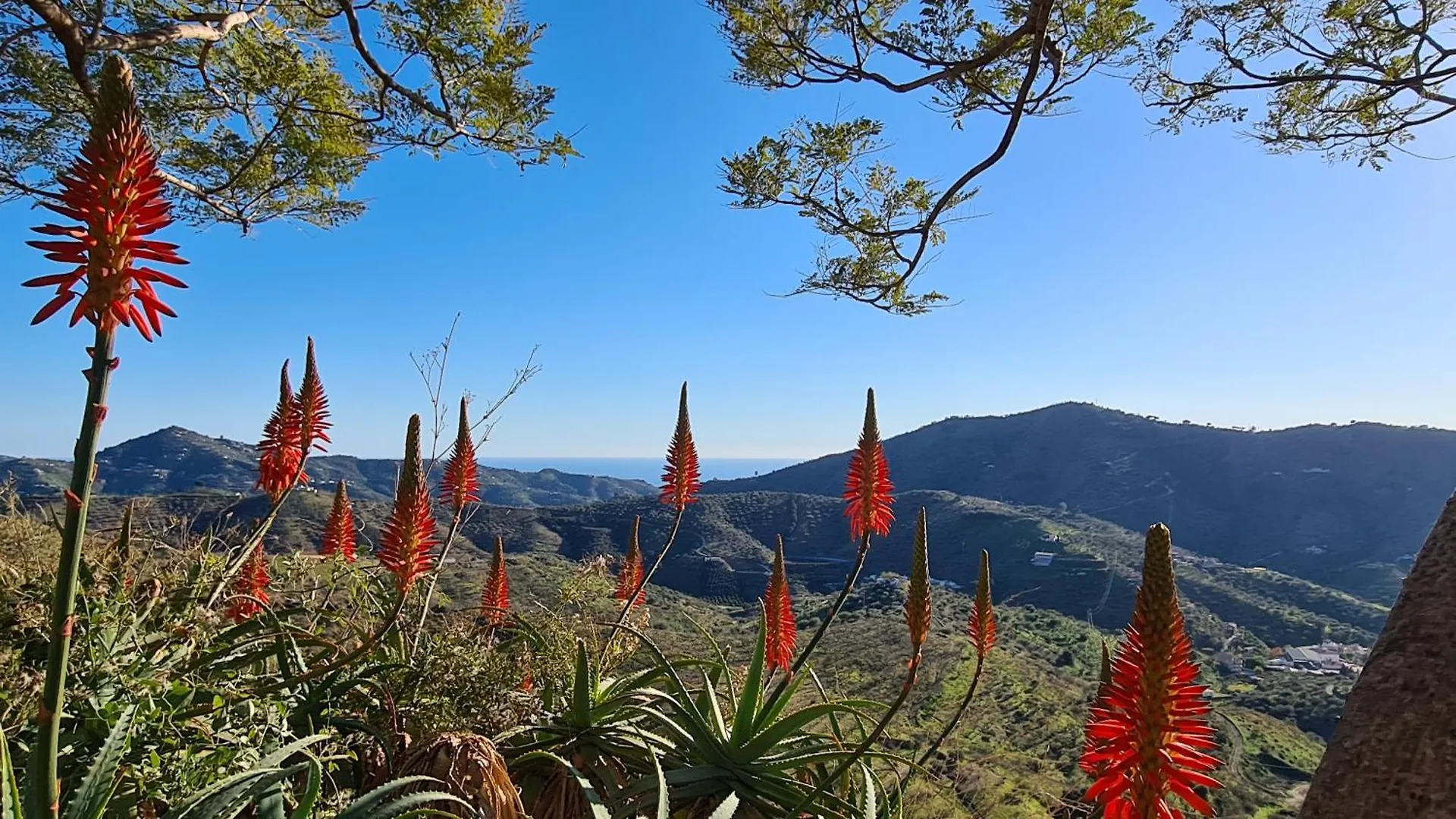 Casa El Mirador Villa Arenas  Spain